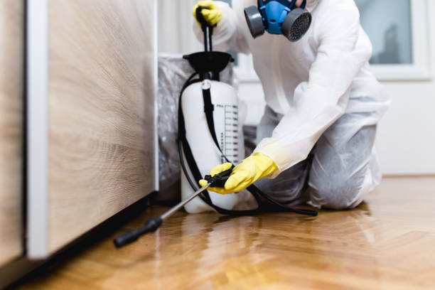 Best Cockroach Control Services  in New Rochelle, NY