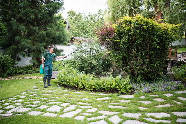 Best Mosquito Control Services  in New Rochelle, NY