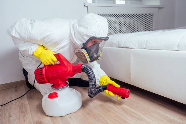 Reliable New Rochelle, NY Pest Control Solutions