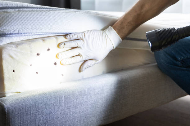 Best Pest Control Treatment  in New Rochelle, NY