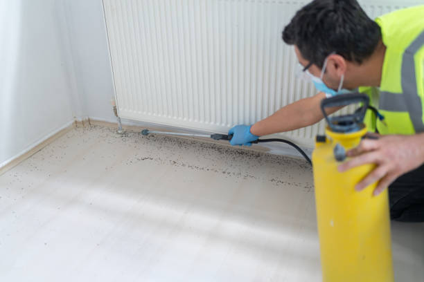 Best Affordable Pest Control Services  in New Rochelle, NY
